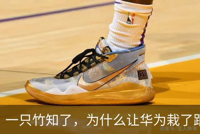一只竹知了，为什么让华为栽了跟头？