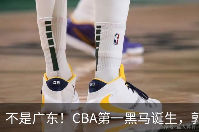 不是广东！CBA第一黑马诞生，郭士强接班人崛起，辽篮惊喜