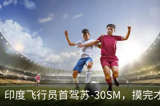 印度飞行员首驾苏-30SM，摸完才发现，超级苏霍伊的底子在这