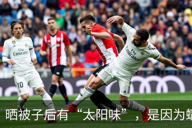 晒被子后有“太阳味”，是因为螨虫被烤焦了？科学家：太阳的功劳