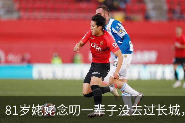 81岁姥姥念叨一辈子没去过长城，外孙用红高粱在院子里铺了一座，央视都转了